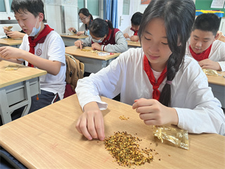 IMG_2868.jpg